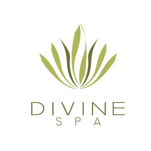 Divine Spa logo