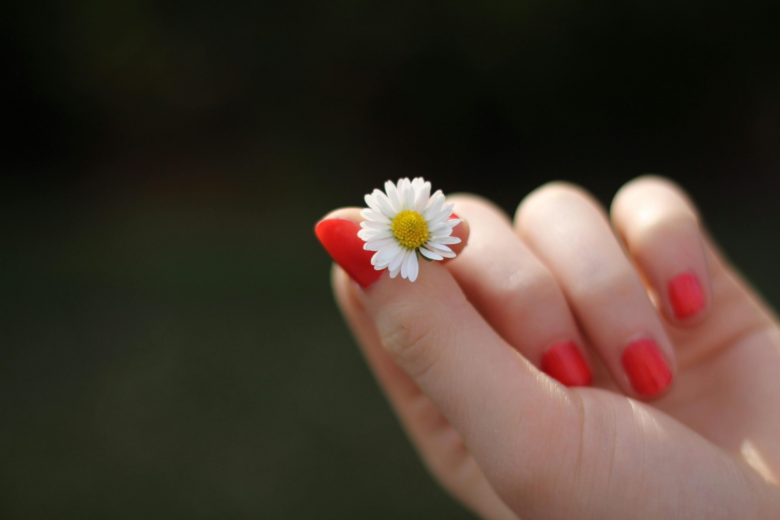 LuxMe nails and spa