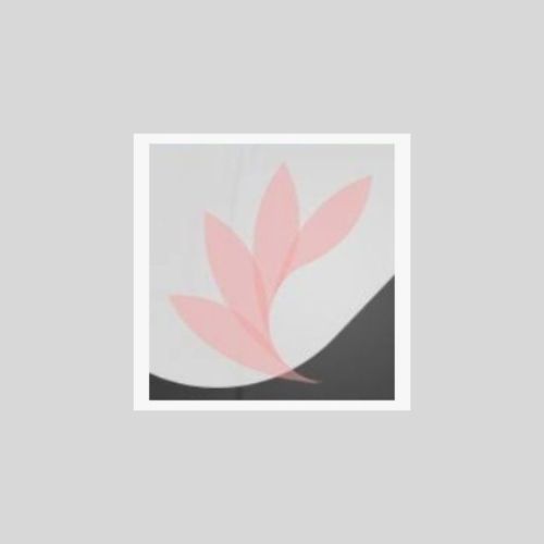 The Laser Spa.Ca logo
