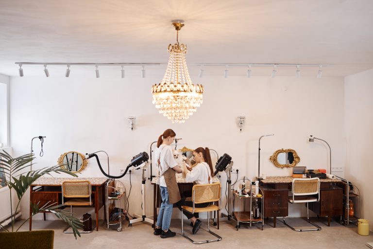 Hair Salons in Canada. Wide angle view of luxury grooming salon with crystal chandelier and two women caring for cute dog copy space